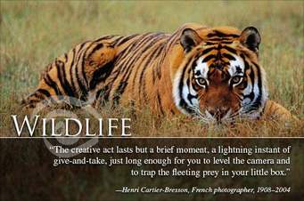 World Wildlife Day – PERRONFM 95.1