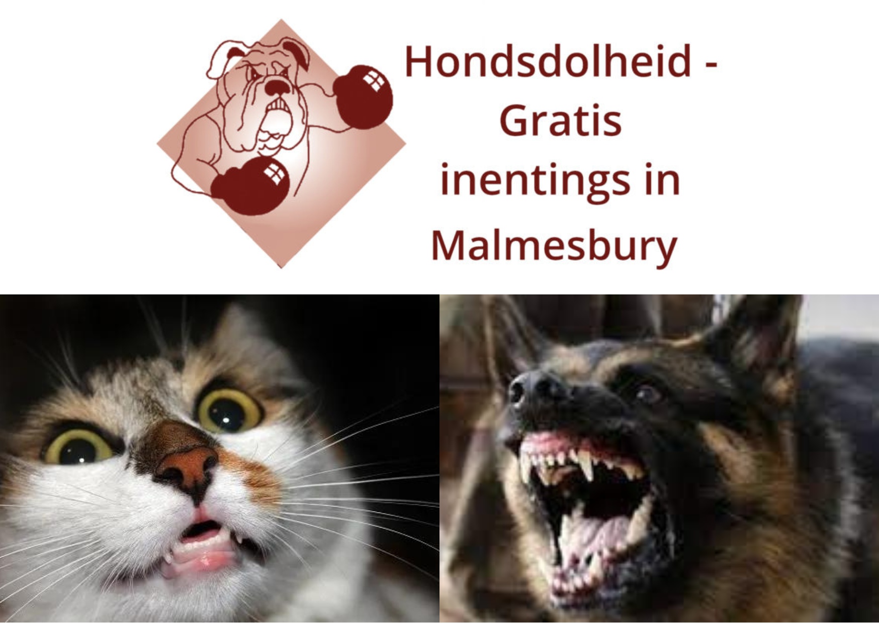 10 JULIE - 11 JULIE 2023 - STAATS VEEARTS MALMESBURY - HONDSDOLHEIDS INENTING  - BEAMTES VAN DIE STAATSVEEARTS KANTOOR OP MALMESBURY GAAN 'N HONDSDOLHEIDS VELDTOG IN MALMESBURY/WESBANK/ILINGELETHU HOU WAAR DIERE GRATIS INGEËNT GAAN WORD OP DIE VOLGENDE PLEKKE: MAANDAG 10 JULIE: MALMESBURY RUGBYVELD(BLOUES) 10:00 - 15:00. DINSDAG 11 JULIE: WESBANK LAW ENFORCEMENT OOP VELD 09:00 - 12:00 WESBANK ALFA KAFEE (ROOI KAFEE) 12:00 - 15:00 ILINGELETHU THUSONG SENTRUM 10:00 - 15:00. VIR MENS EN DIER SE VEILIGHEID MOET HONDE AAN 'N HALSBAND EN LEIBAND WEES EN KATTE IN 'N MANDJIE OF LEMOENSAKKIE. VIR MEER INLIGTING SKAKEL JANICA CHAPMAN BY 084 959 8550 OF 022 433 8910