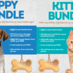 01 FEBRUARY - 31 MARCH 2024 - ARE YOU READY TO WELCOME A NEW FURRY FRIEND INTO YOUR FAMILY? WE HAVE THE PERFECT SOLUTION FOR YOU – OUR PUPPY & KITTEN BUNDLES! WHAT'S INCLUDED IN THE BUNDLES? A 15 POINT WELLNESS CHECK-UP; 20% OFF MERCHANDISE; A HILL’S STARTER PACK AND A MICROCHIP FOR ONLY R100. CONTACT GROENKLOOF DIEREKLINIEK NOW TO SCHEDULE YOUR FREE CHECKUP AND CLAIM YOUR PUPPY AND KITTEN BUNDLES. LIMITED TIME OFFER VALID FROM 1 FEBRUARY – 31 MARCH. CONTACT GROENKLOOF MALMESBURY AT 022 487 1157 OR GROENKLOOF RIEBEEK 082 089 1234 OR WHATSAPP 081 855 0301.