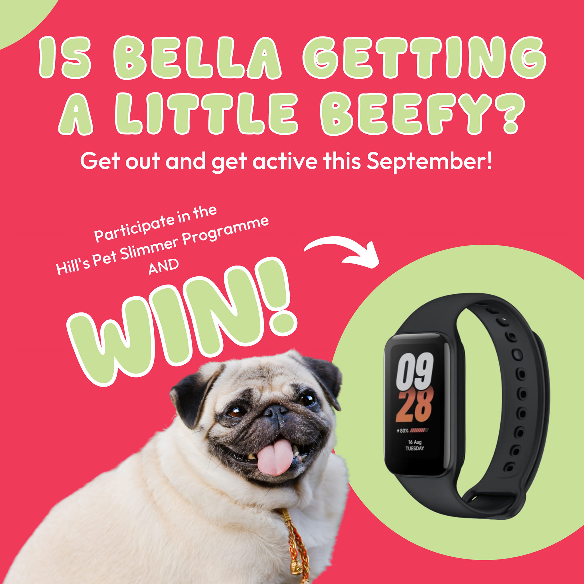 This September, sign up for Hill’s Pet Slimmer or bring your pet in at Groenkloof Dierekliniek for a routine weigh-in and stand a chance to win a fitness tracker watch in our lucky draw! Let’s keep our furry friends healthy and happy! Pop in any time or call to make an appointment: *Groenkloof Malmesbury 022 487 1157 *Groenkloof Riebeek 082 089 1234 OR WhatsApp 081 855 0301