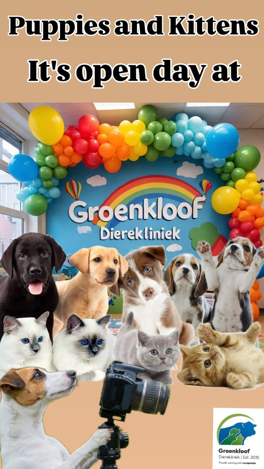 This October month, we’re offering FREE wellness checks for all puppies and kittens when they stop by for a visit at Groenkloof Dierekliniek!. If your little one is feeling up to it, we’d love to give them a quick check to ensure they’re happy and healthy! We encourage all new puppy and kitten parents to pop by for an obligation-free visit. Groenkloof dierekliniek - here to help make vet visits less scary and more positive!.