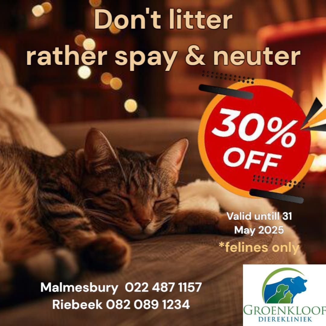 Reduce unwanted litters, spay and neuter your feline and get 30% off. Valid until 31 May. Make your appointment with the cat friendly team at Groenkloof today. Groenkloof Malmesbury-022 487 1157/Groenkloof Riebee-082 089 1234 