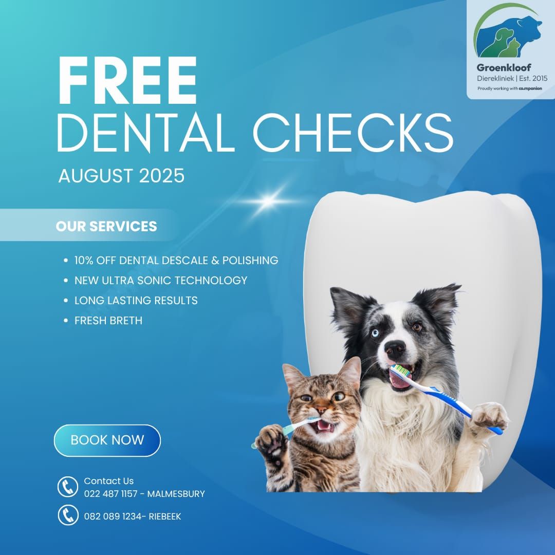 Gratis tandheelkundige ondersoek hierdie Augustus by Groenkloof Dierekliniek! Is jou troeteldier 2 jaar of ouer? Kom in vir jou GRATIS tandheelkundige ondersoek. Dit is noodsaaklik vir alle volwasse troeteldiere om gereelde (6 - 12 maandelikse) tandheelkundige ondersoek te hê. Ons bied ook 10% KORTING op skaal - en poleerprosedures hierdie Augustus! (Pryse vanaf so min as R980). Vir 'n afspraak, skakel: Malmesbury 022 487 1157 / Riebeek 082 089 1234 of WhatsApp 060 019 9467. 