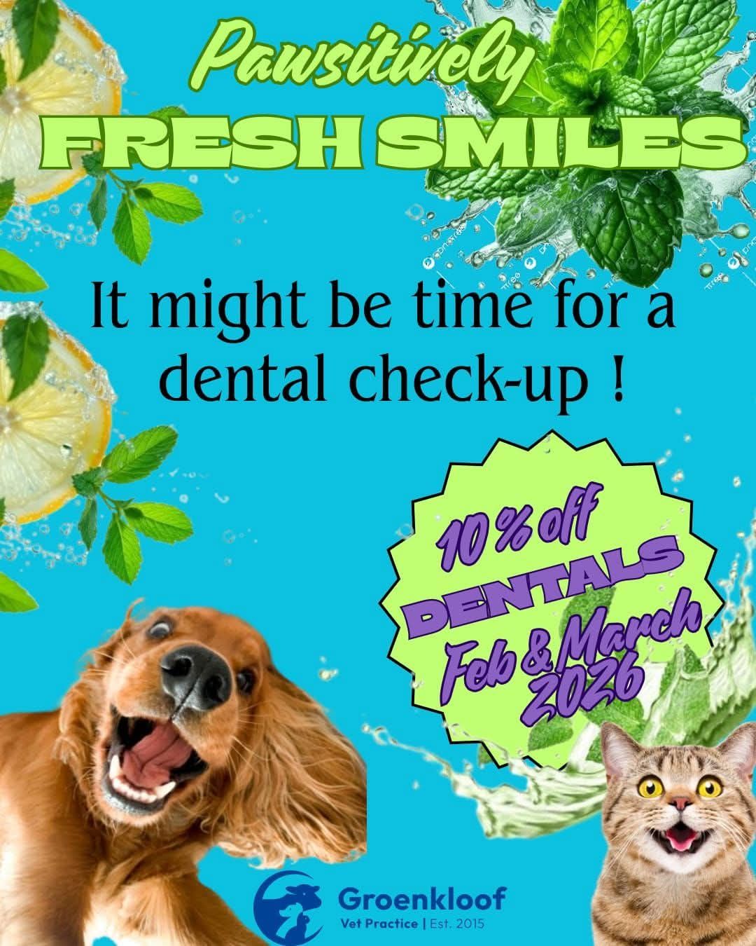 We're delighted to announce a special offer at Groenkloof vet Practice for February and March: 10% off all dental services. Unsure if your pet requires dental attention? Our veterinarians provide complimentary dental checks, which include an examination of your pet's teeth and a detailed estimate of necessary procedures. They may also recommend optional services such as bloodwork, particularly beneficial for senior pets. Schedule your appointment today: Malmesbury 022 487 1157/ Riebeek 082 089 1234/ WhatsApp 060 019 9467