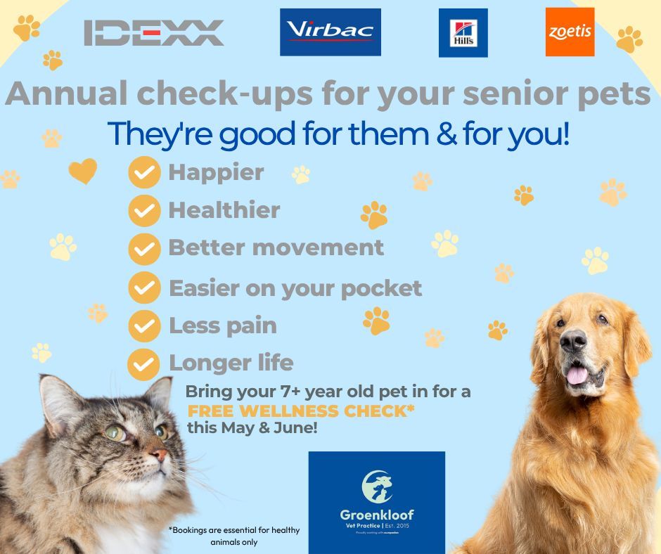 Celebrate Senior Month at Groenkloof Vet Practise! Pets over 7 years qualify for a pensioner's discount. Enjoy a FREE wellness check worth R838, with glucose and urine tests. Get FREE or discounted Hill’s Pet Nutrition for essential nutrients. Maintain dental health with a scale and polish voucher. Early health issue detection can extend your pet's life and save money. Regular vet visits are key to their health and happiness. For more information, contact Groenkloof Vet Practise: Malmesbury (022 487 1157), Riebeek (082 089 1234), or WhatsApp (060 019 9467). Keep your senior pets healthy and thriving!