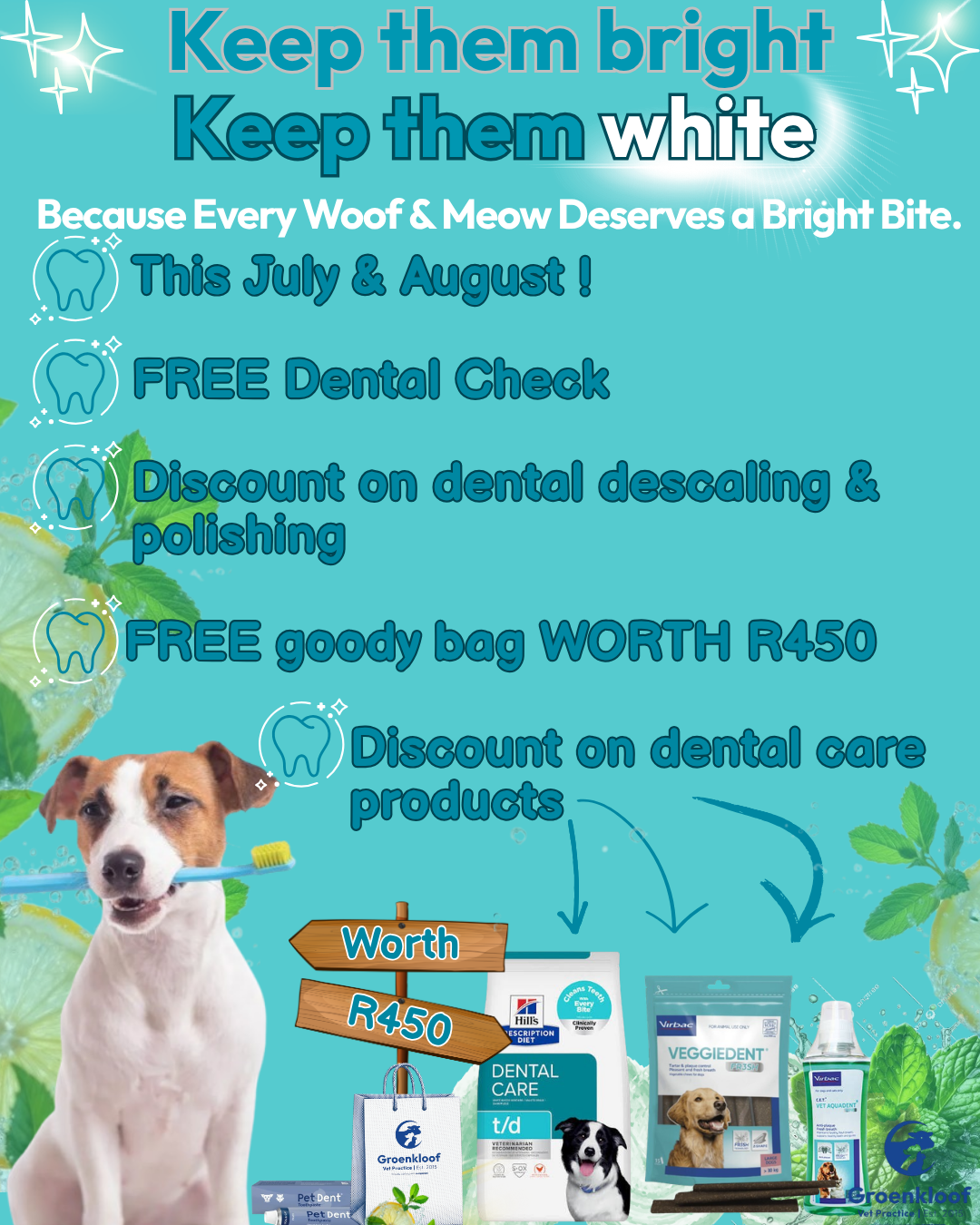 Groenkloof Vet Practice is excited to announce our Dental Promo: "Keep Them Bright, Keep Them White!" Treat your furry friends this July and August 2026 with our exclusive offers designed to ensure their smiles are healthy and sparkling. We’re providing free dental checks to keep your pet's dental health in top condition. Spaces are limited, so be sure to book your spot today! Contact us in Malmesbury at 022 487 1157 or in Riebeek Kasteel at 082 089 1234. Don’t miss the chance to give your pet the best dental care they deserve!