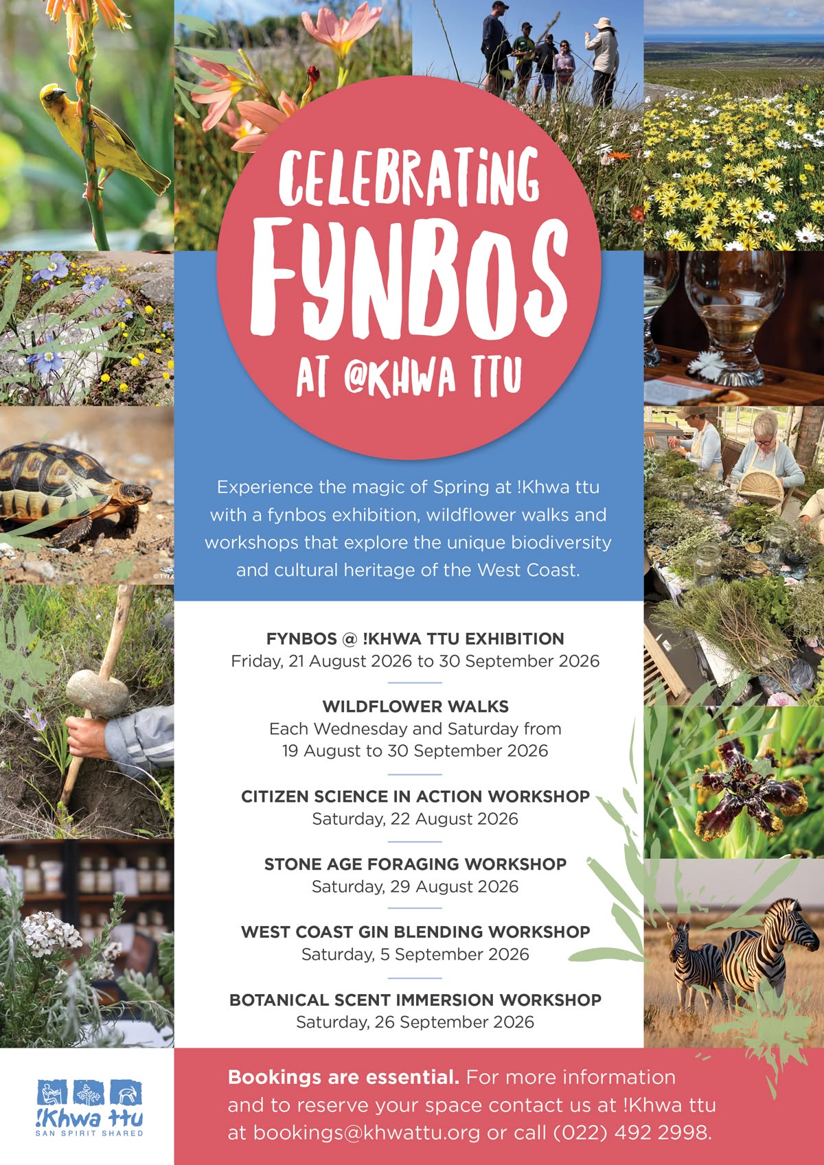 Join us for the Fynbos !Khwa ttu Exhibition, running from 21 August – 30 September, and feel the magic of spring with an inspiring programme of workshops, guided wildflower walks, and our annual fynbos exhibition. Take a look at our full programme and save the dates! Spaces for all workshops are limited, so be sure to book early at bookings@khwattu.org or call 022 492 2998