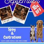 SEPTEMBER SPAY & CASTRATION SPECIAL AT GROENKLOOF VET PRACTICE! It’s time to help your furry family live a healthier, happier life! SEPTEMBER SPECIAL: 10% OFF SPAY & CASTRATION PROCEDURES! *Limited-time offer *Limited space available *Appointments are essential! Don’t wait until it’s too late — give your pet the gift of a healthier future.  BOOK YOUR APPOINTMENT TODAY! Malmesbury:022 487 1157 Riebeek:082 089 1234 WhatsApp:060 019 9467 Groenkloof Vet Practice — caring for your pets every step of the way.