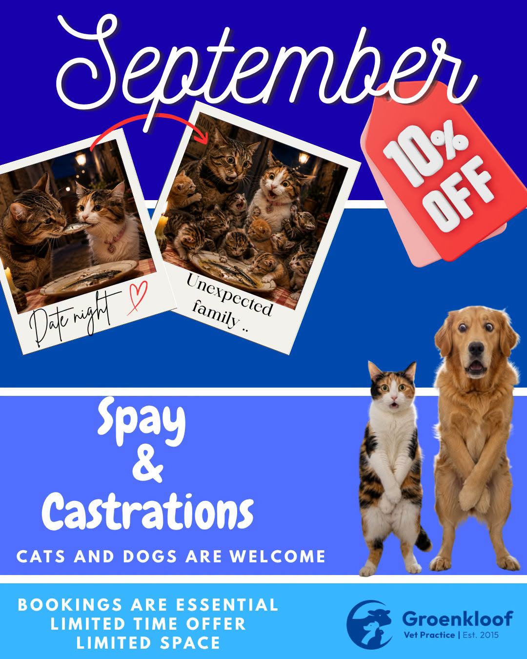 SEPTEMBER SPAY & CASTRATION SPECIAL AT GROENKLOOF VET PRACTICE! It’s time to help your furry family live a healthier, happier life! SEPTEMBER SPECIAL: 10% OFF SPAY & CASTRATION PROCEDURES! *Limited-time offer *Limited space available *Appointments are essential! Don’t wait until it’s too late — give your pet the gift of a healthier future.  BOOK YOUR APPOINTMENT TODAY! Malmesbury:022 487 1157 Riebeek:082 089 1234 WhatsApp:060 019 9467 Groenkloof Vet Practice — caring for your pets every step of the way.